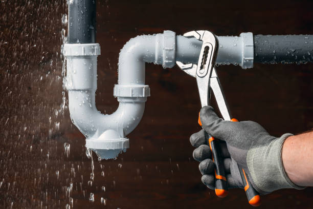 Professional Plumbing technician working in Armington, IL